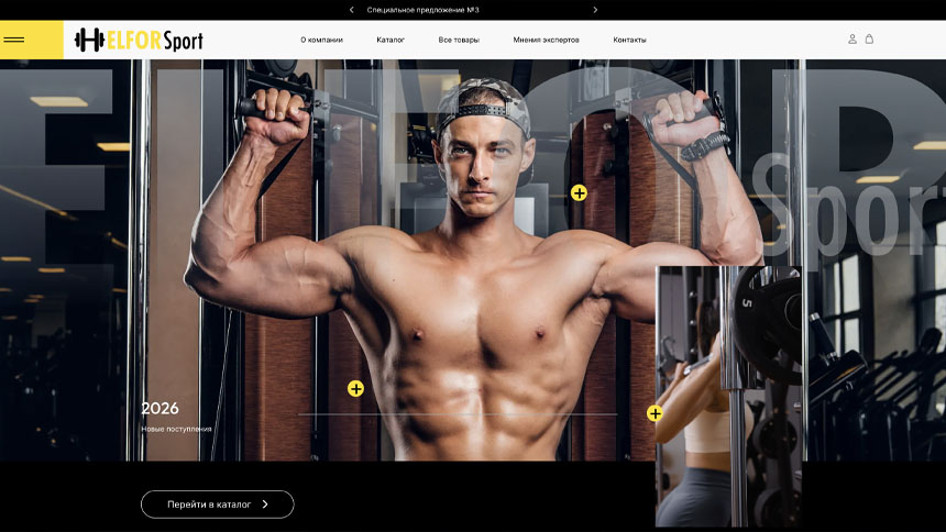 ELFOR Sport - оборудование для тренажерных залов